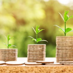 Stacks of coins with green plants growing on top, symbolizing financial growth and investment in solar energy.